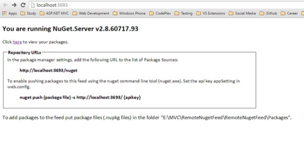 Remote NuGet Feed Website 